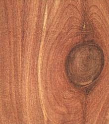 aromatic-cedar-softwood