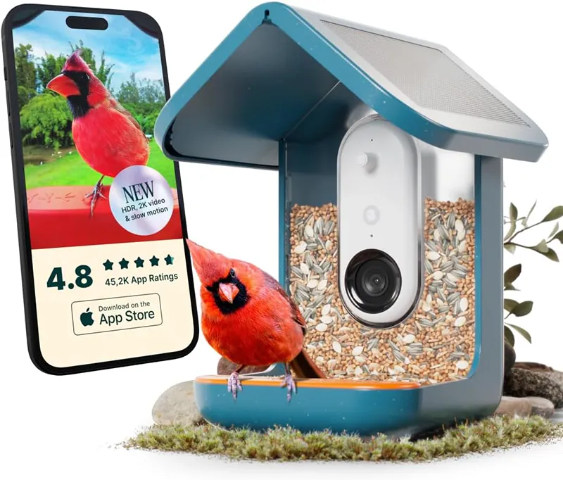 bird buddy pro solar smart bird feeder 
