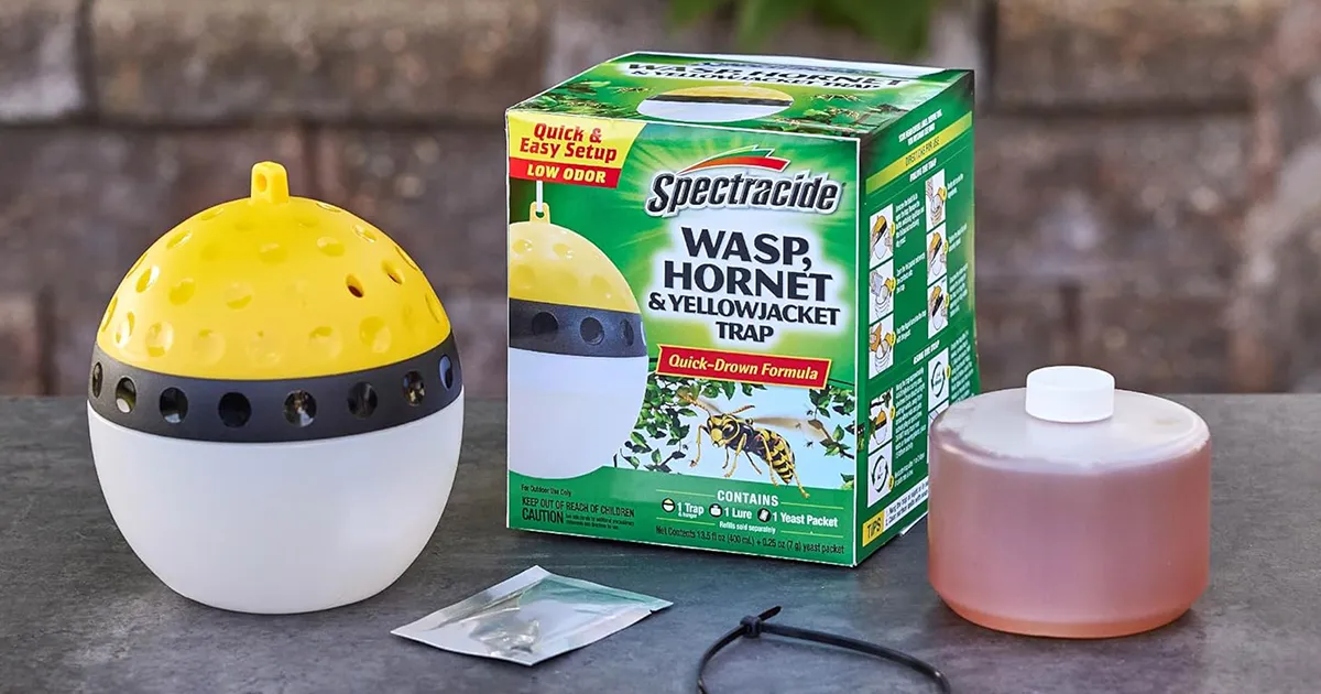 spectracide wasp hornet and yellowjacket trap 1200